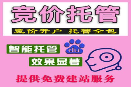 SEM托管公司案例研究：创意广告设计